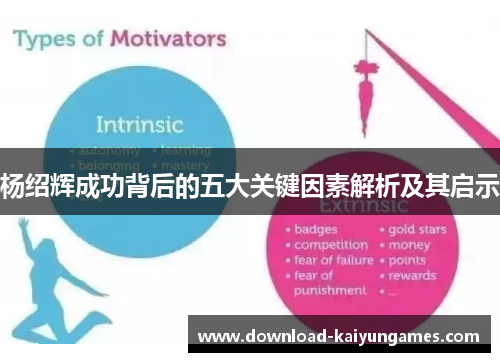 杨绍辉成功背后的五大关键因素解析及其启示
